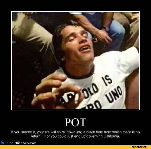 funny-pictures-stoner-humor-auto-441658